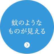 蚊のようなものが見える